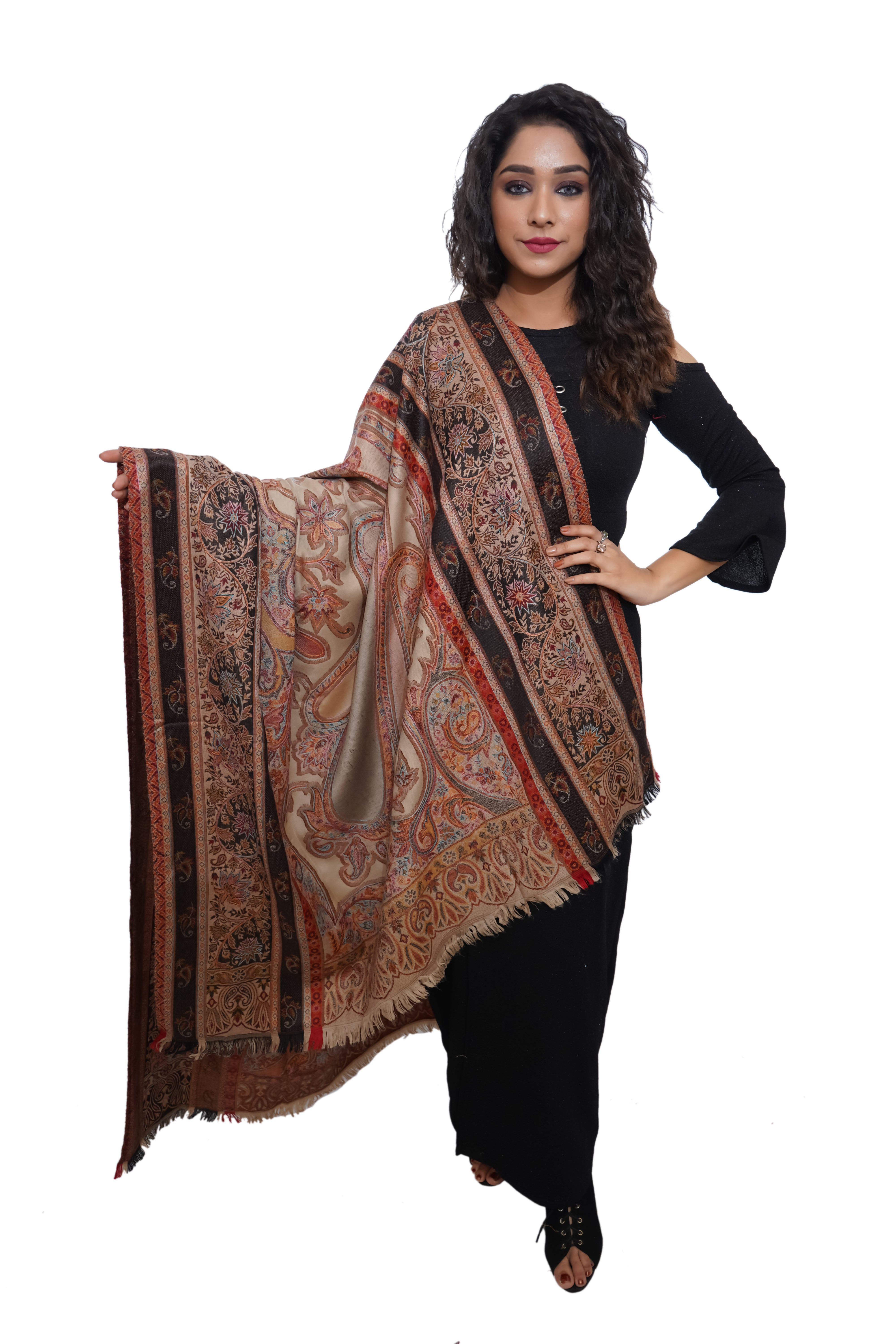 Fine Wool Pashmina Embroidered Kashmiri Soft & Warm Shawl